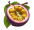 flavor-link